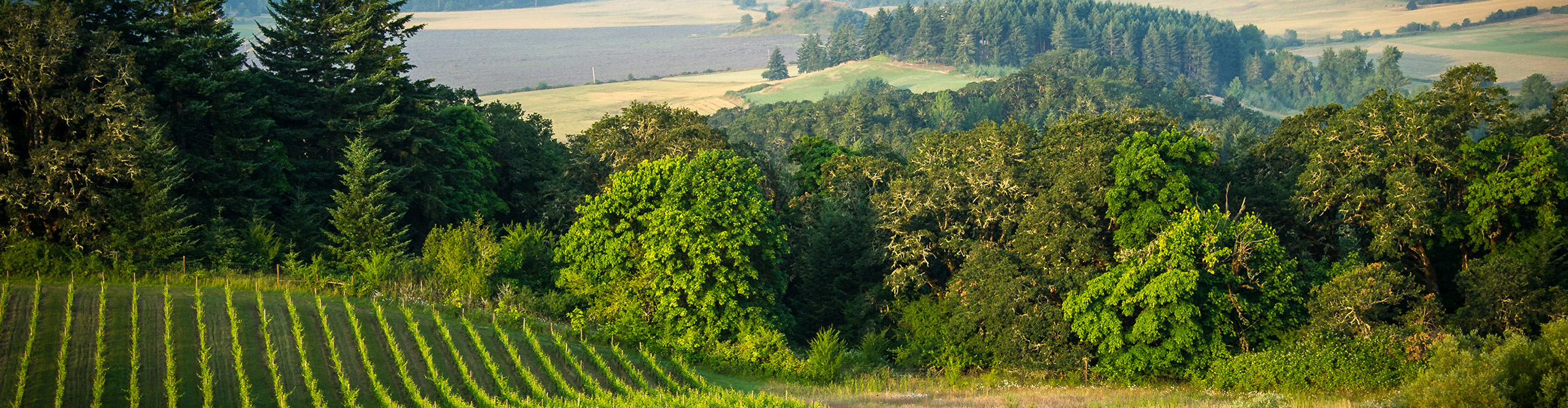 Howell Mountain