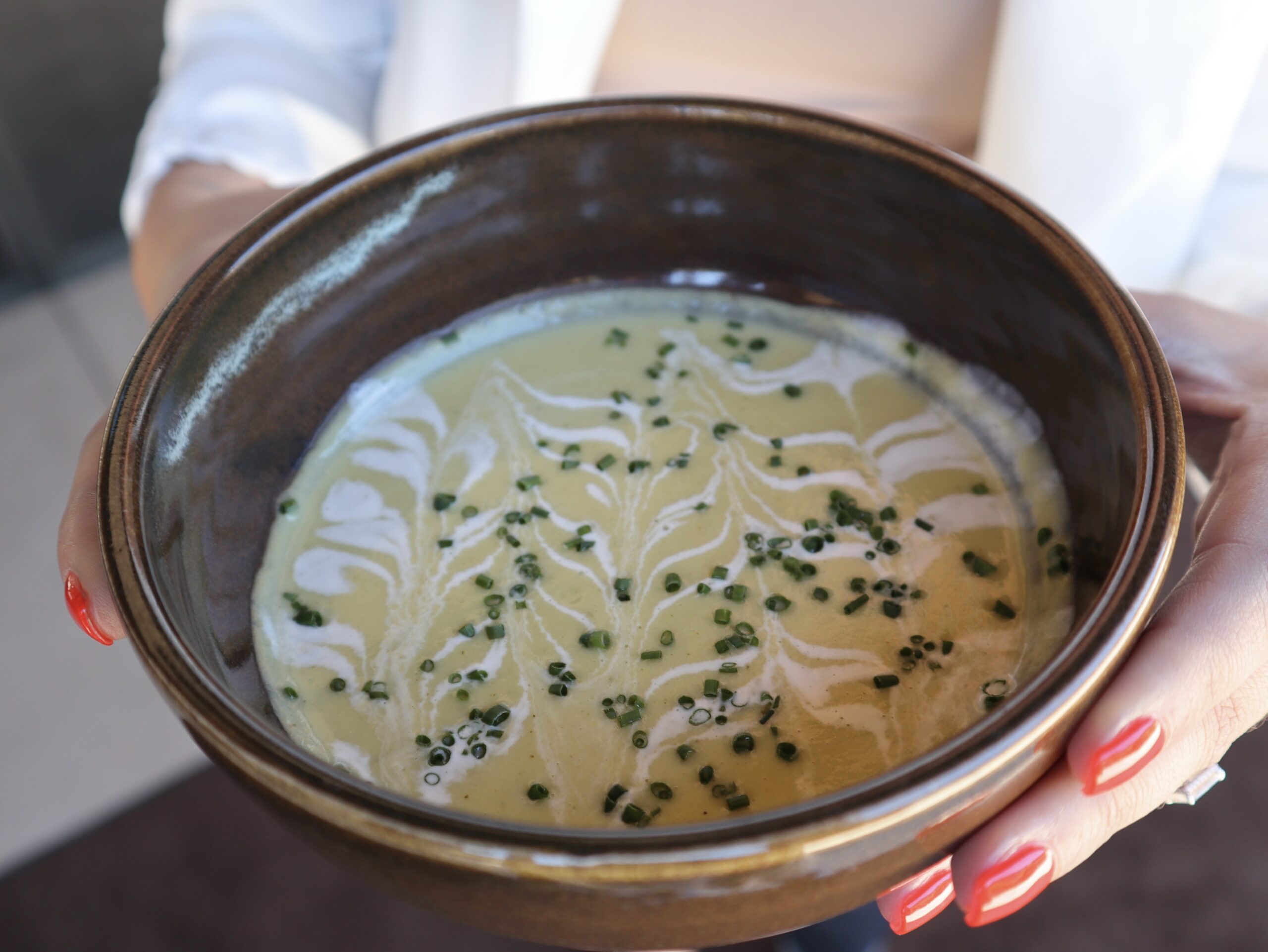 Deliciously Easy Leek and Zucchini Soup