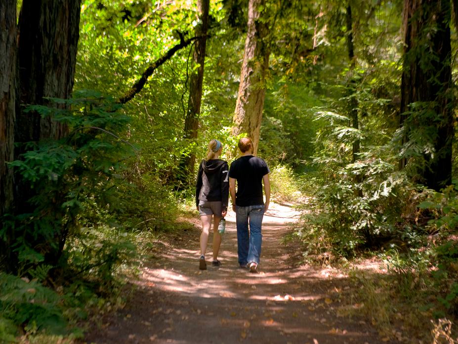 Bothe-Napa Valley State Park, a park in Calistoga for hiking in Calistoga, as featured in Davis Estates’ wine blog on the best things to do in Calistoga