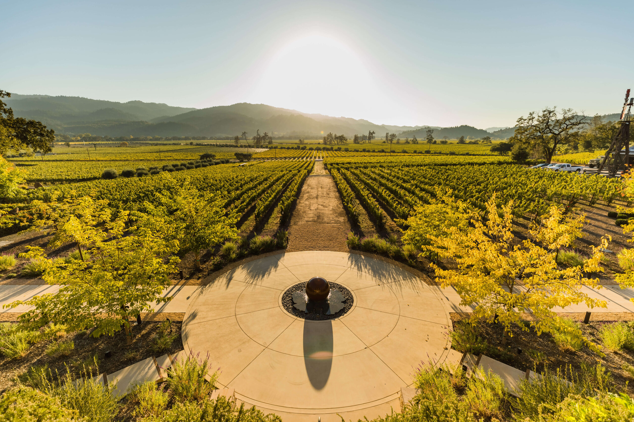 a high resolution shot of Davis Estates winery, a winery in Calistoga, among the best wineries in Napa