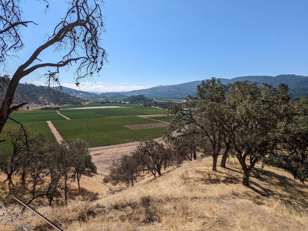 A shot of the Napa Valley floor from the Oat Hill Mine Trail, a hiking trail in Calistoga, as featured in Davis Estates’ wine blog on the best things to do in Calistoga