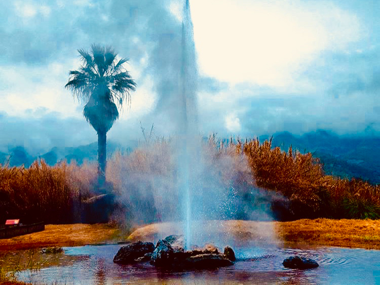 Old Faithful Geyser of CA in Calistoga, as featured in Davis Estates’ wine blog on the best things to do in Calistoga