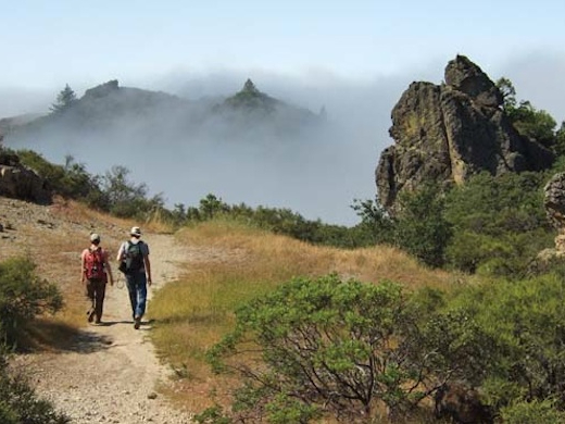 Robert Louis Stevenson State Park in Calistoga, as featured in Davis Estates’ wine blog on the best things to do in Calistoga