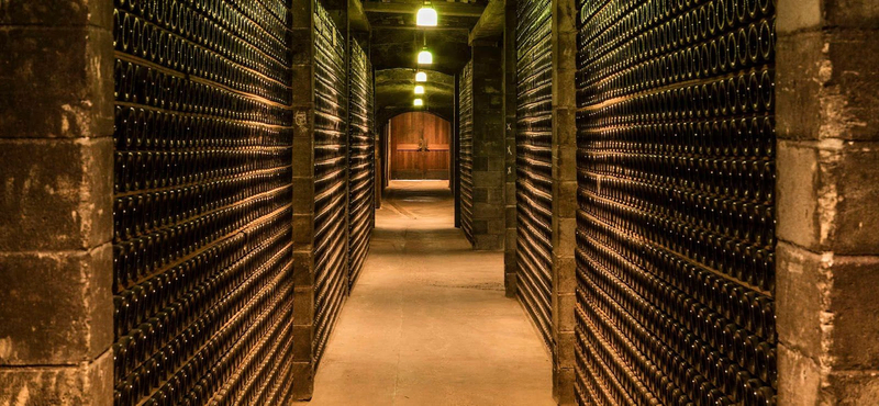 A long hallway of the wine cellar lined with bottles of wine | Best Wineries in Calistoga