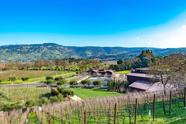 Scenic vineyard with hills, green fields, and winery buildings