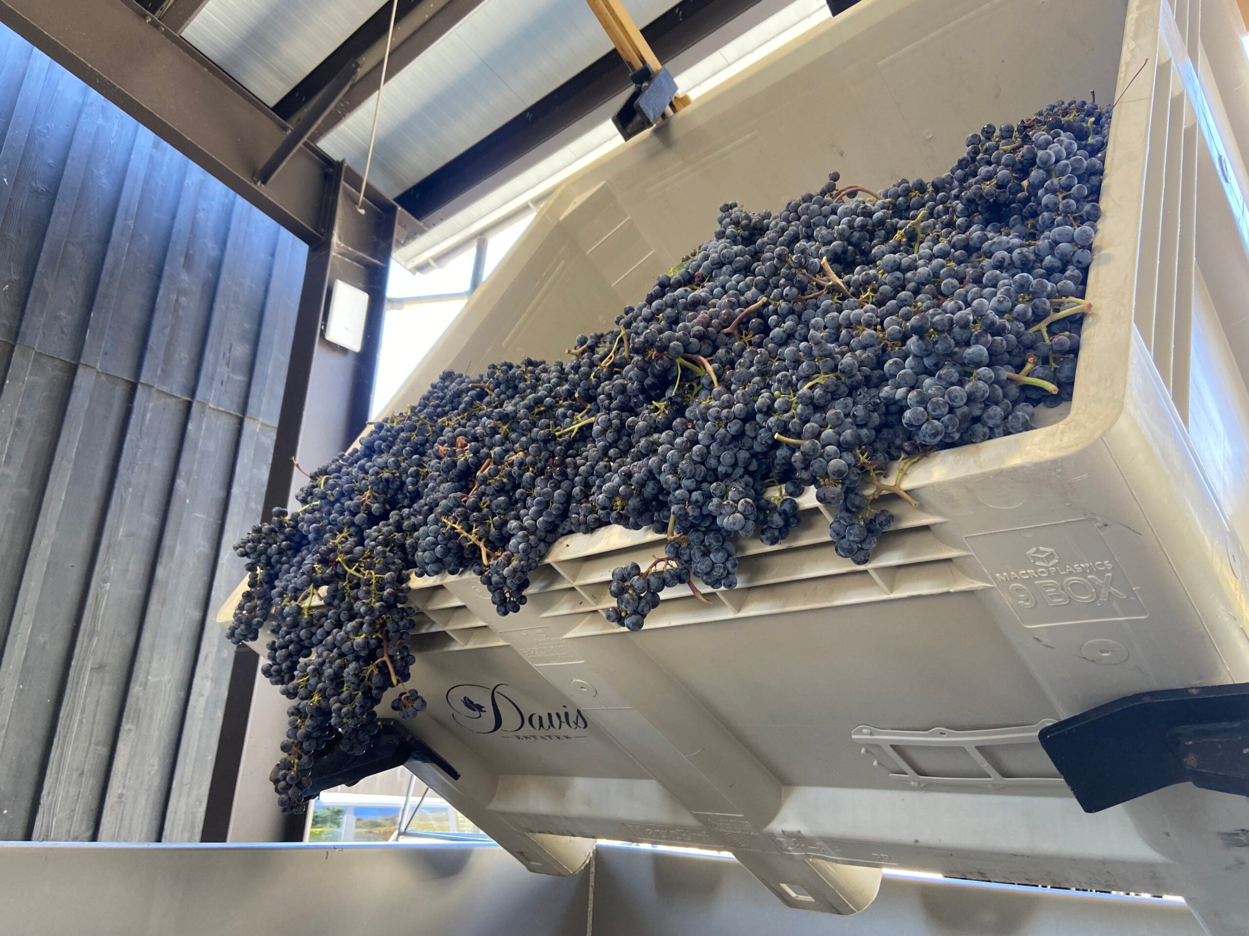 Harvest