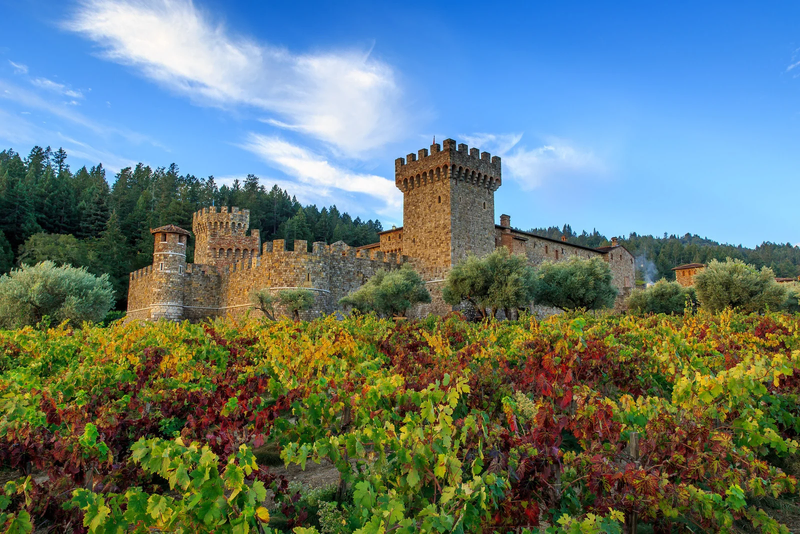 Castello di Amorosa stone castle surrounded by vineyards
