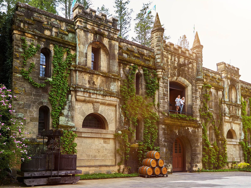 Historic stone winery with ivy and wine barrels outside