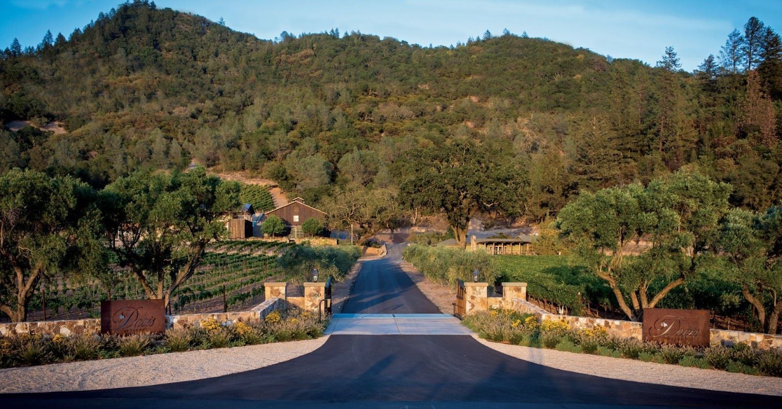 Entrance to Davis Estates vineyard property